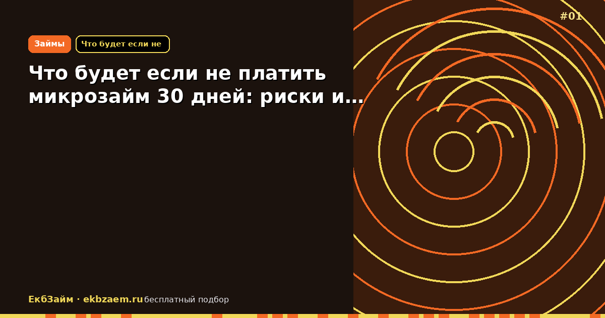 Что будет если не платить микрозайм 30 дней: риски и…