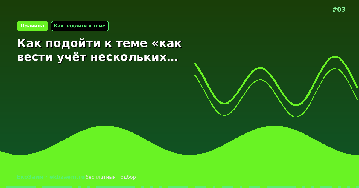 Как подойти к теме «как вести учёт нескольких…