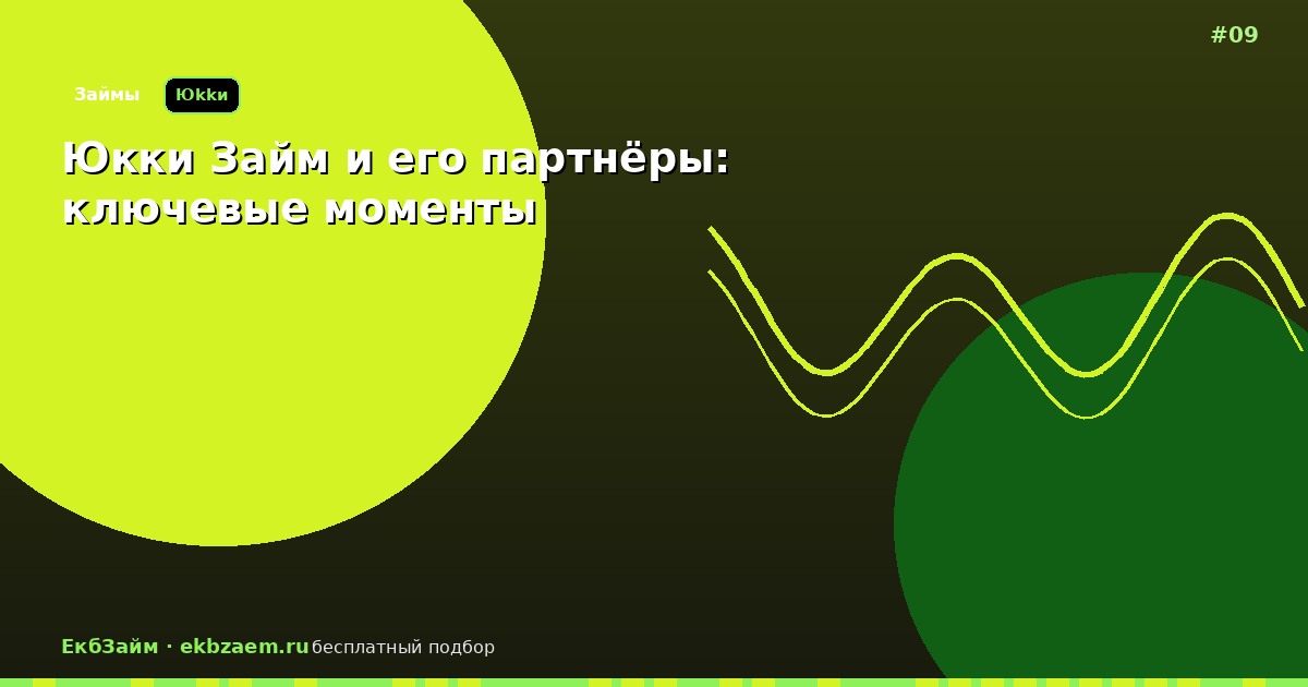 Юкки Займ и его партнёры: стоит ли пользоваться